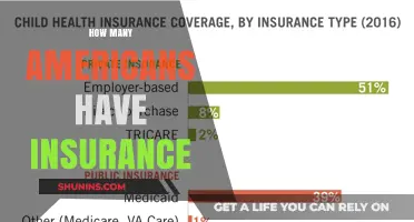 Understanding the Scope of Health Insurance Coverage Among Americans