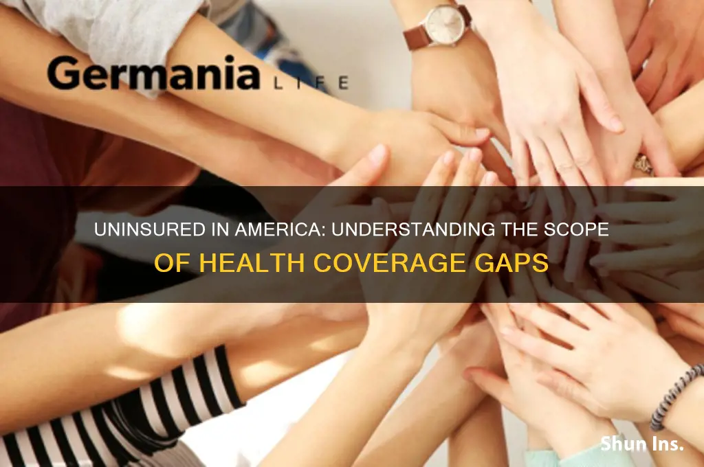 how many americans have no health insurance
