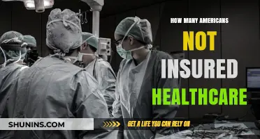 Uninsured in America: Understanding the Scope of Healthcare Coverage Gaps