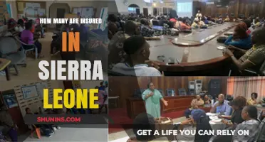 Understanding Sierra Leone's Health Insurance Coverage: Who's Protected?