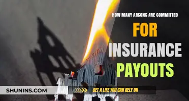 Insurance Fraud Arson: How Common Are Fires Set for Payouts?