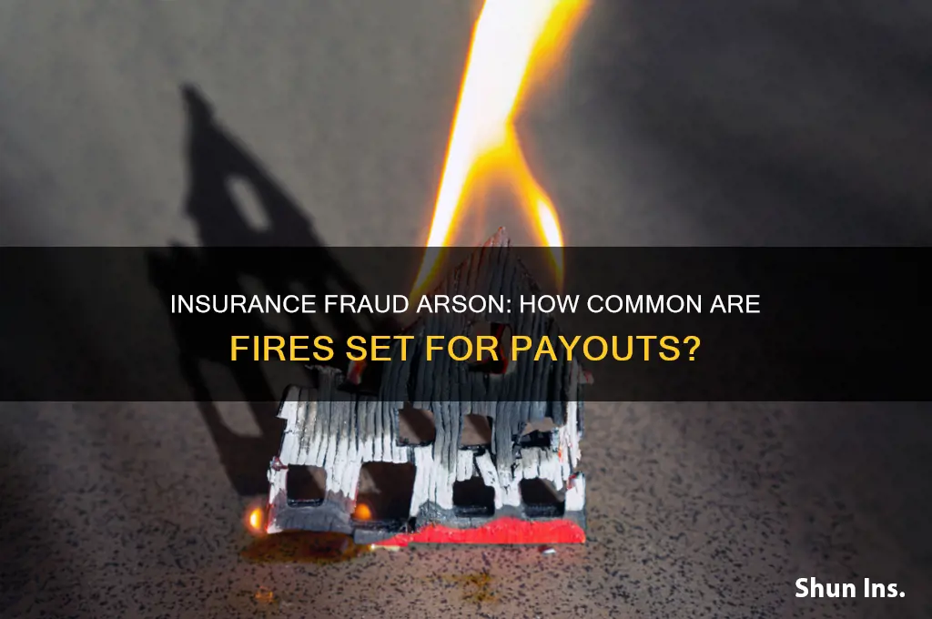 how many arsons are committed for insurance payouts