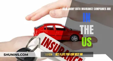 Auto Insurance: How Many Companies Are in the US Market?