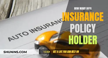 Auto Insurance Policy Holders: How Many Exist?