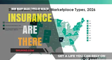Understanding the Basic Types of Health Insurance Plans Available