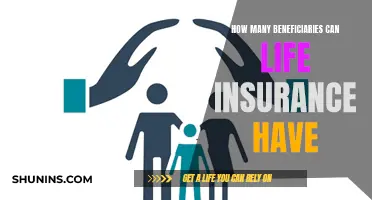 Beneficiaries of Life Insurance: How Many Can You Name?