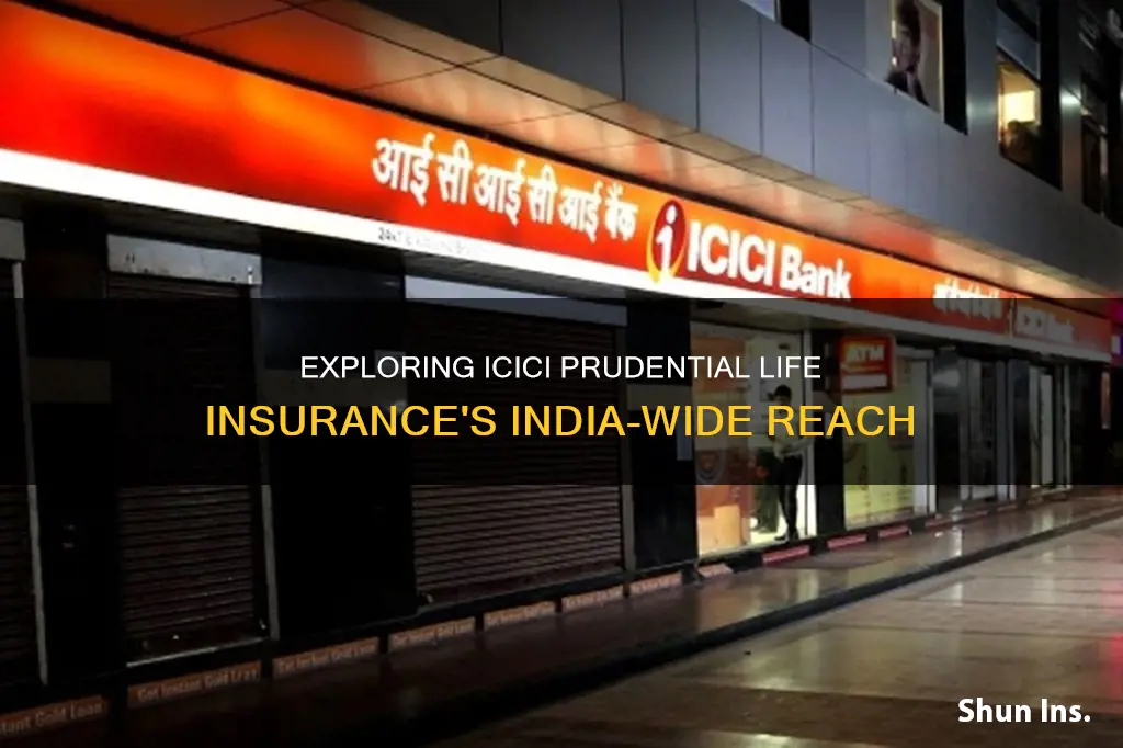 how many branches of icici prudential life insurance in india