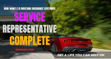 Mustang Insurance: Unlocking the Secrets of Customer Service Representatives