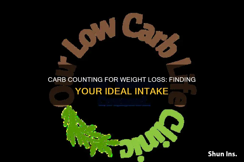 how many carbs insure weight loss