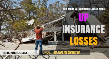 Understanding Catastrophic Losses: Their Impact on Overall Insurance Claims