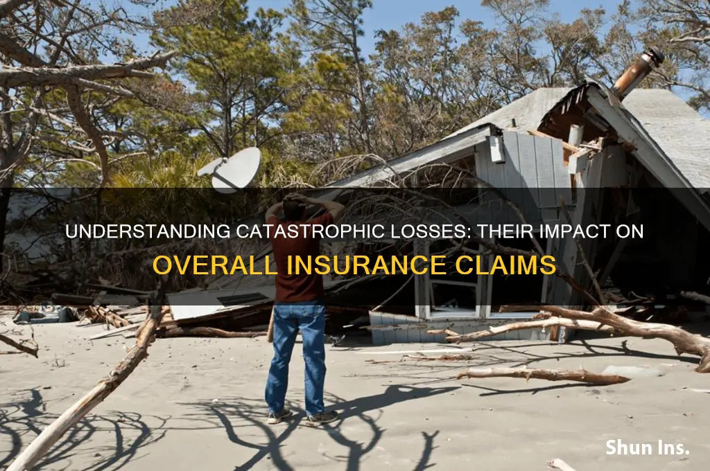 how many catastrophic losses make up insurance losses