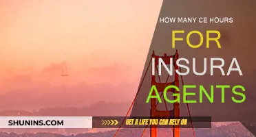 Insurance Agents: Necessary CE Hours for Your License