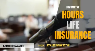 Life Insurance Agents: CE Hours Needed to Maintain Licensure