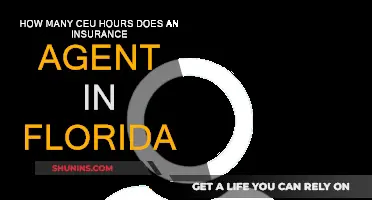 Florida Insurance Agents: CEU Hours Demystified