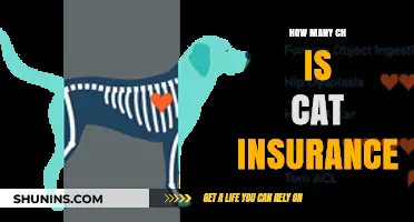Understanding Cat Insurance Costs: How Many CH Are You Paying?