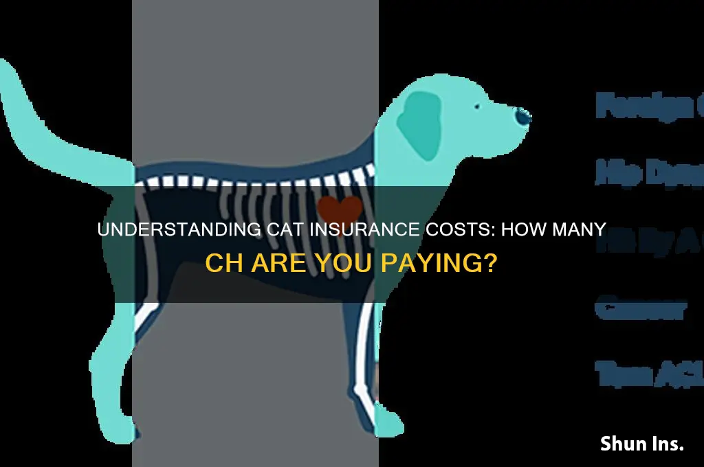 how many ch is cat insurance