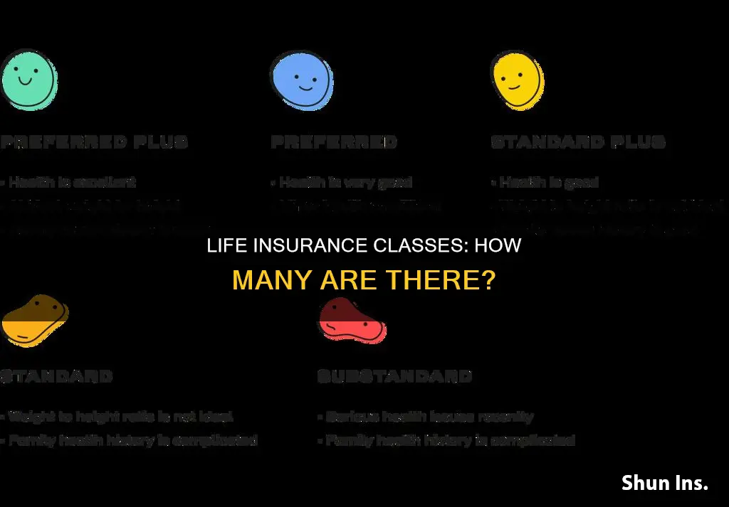 how many classes of life insurance is there