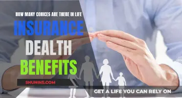 Death Benefits: Exploring Life Insurance Choices