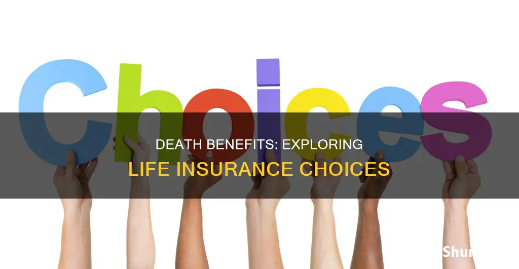 how many cohices are there in life insurance dealth benefits