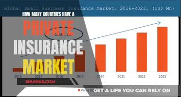 Exploring the Global Reach of Private Insurance Markets