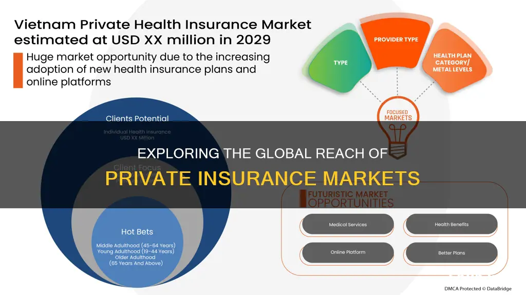 how many countries have a private insurance market