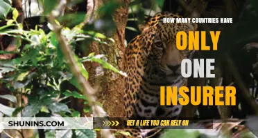 Exploring the Rarity: Countries with a Single Insurer