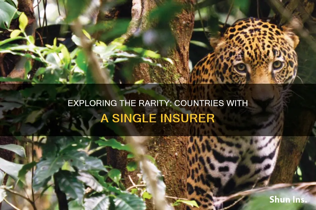 how many countries have only one insurer