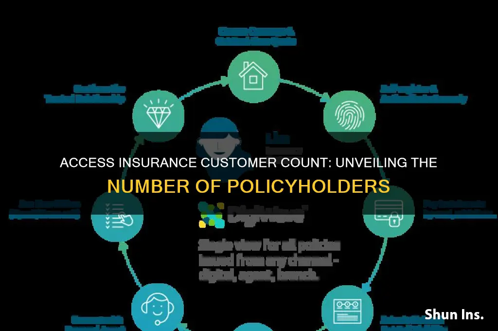 how many customers did access insurance had