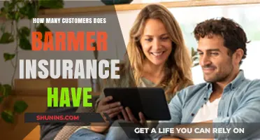 Barmer Insurance Customer Base: Unveiling the Number of Policyholders
