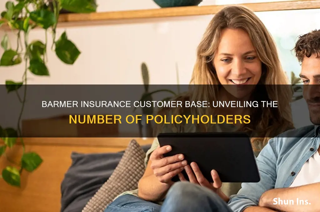 how many customers does barmer insurance have