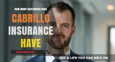 Cabrillo Insurance Customer Base: Unveiling the Number of Policyholders