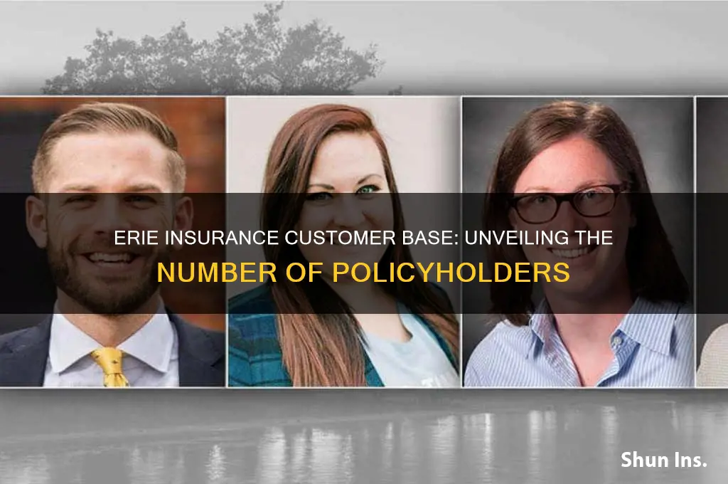 how many customers does erie insurance have