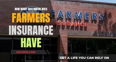 Farmers Insurance's Customer Base: A Comprehensive Overview