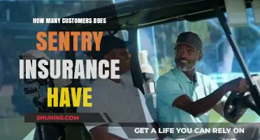 Sentry Insurance Customer Base: Unveiling the Company's Client Reach