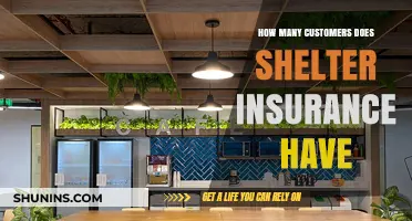 Shelter Insurance Customer Base: How Many Policyholders Trust Their Services?