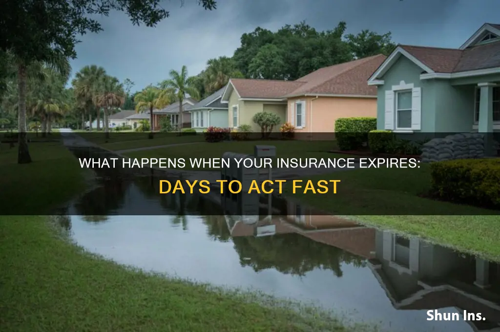 how many days after insurance expires
