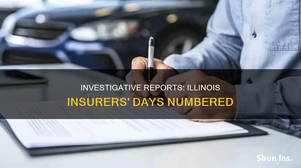 how many days consumor investigation report insurer in Illinois