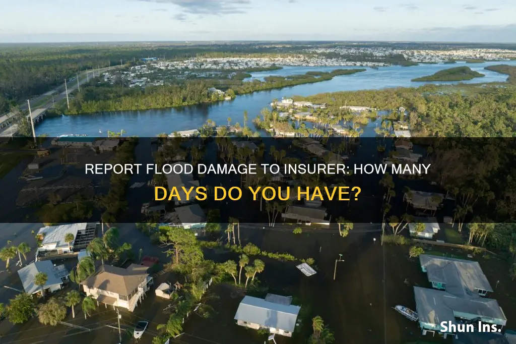 how many days does insured have to report flood damage