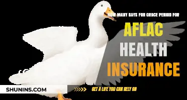 Aflac Health Insurance Grace Period: Understanding Your Coverage Timeline
