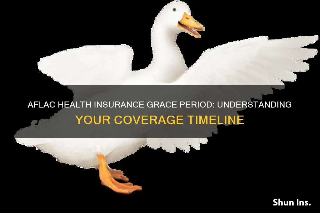how many days for grace period for aflac health insurance