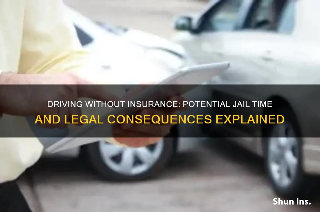 how many days in jail for no insurance