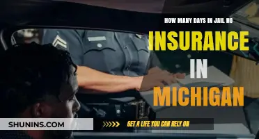 Michigan No-Insurance Penalties: Potential Jail Time Explained