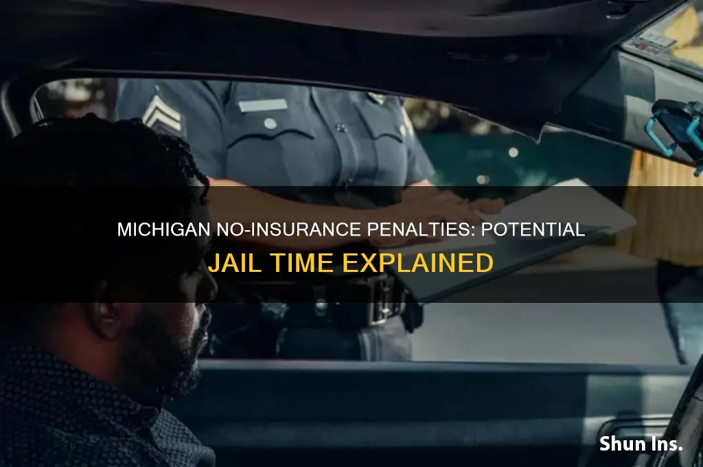 how many days in jail no insurance in michigan