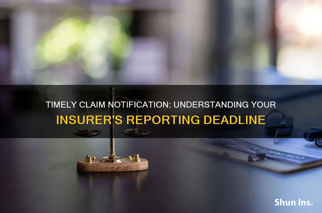 how many days insured to notify insurer