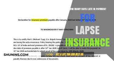 Late Payments: When Does Insurance Coverage Lapse?