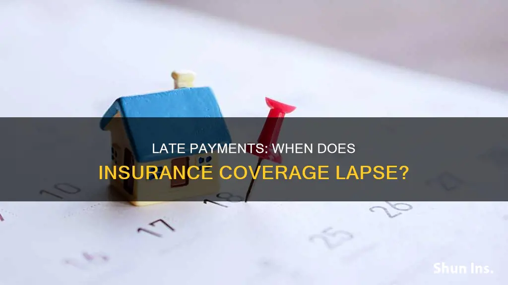 how many days late in payment for lapse insurance