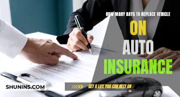 Auto Insurance: Replacing Your Vehicle in 10 Days or Less