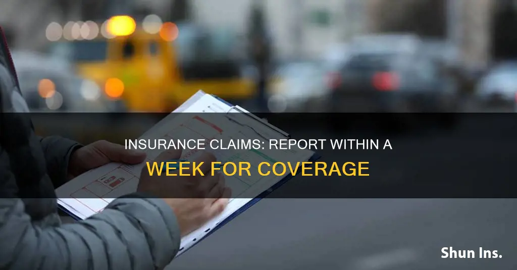 how many days to report to insurance