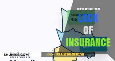 Uninsured and at Risk: The Deadly Impact of Lack of Insurance