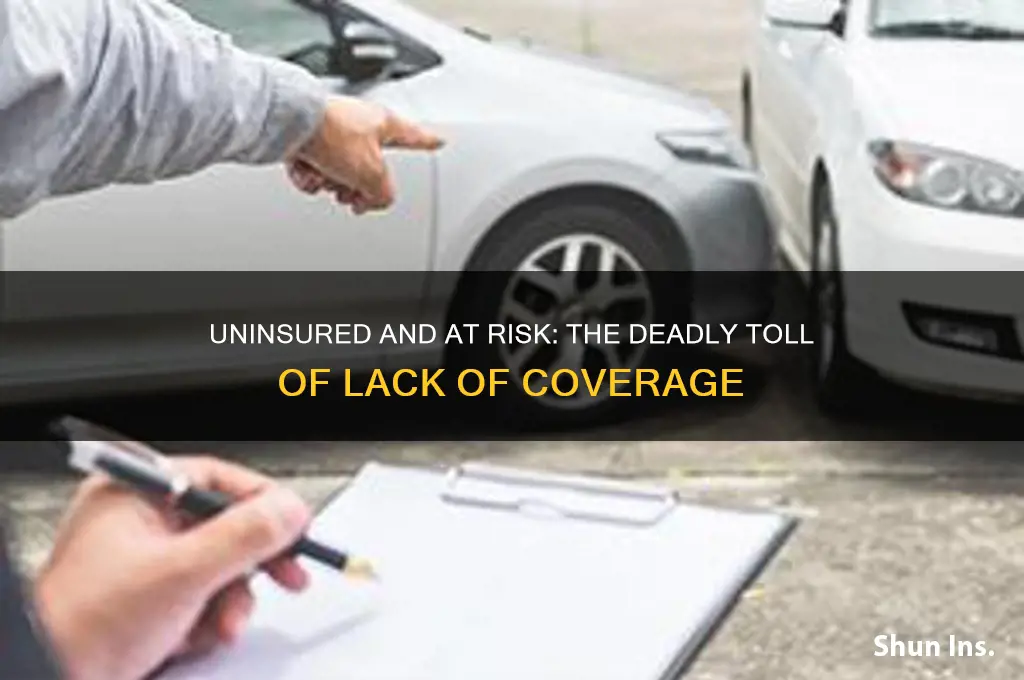 how many died because of no health insurance